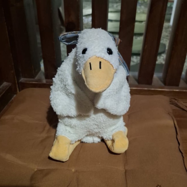 goose 罰跪