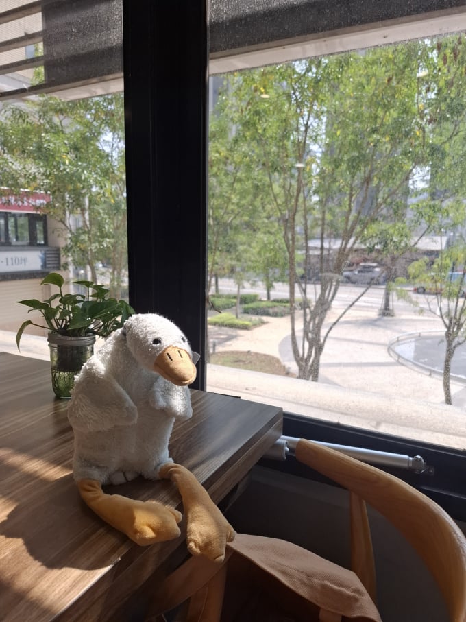goose sat 2