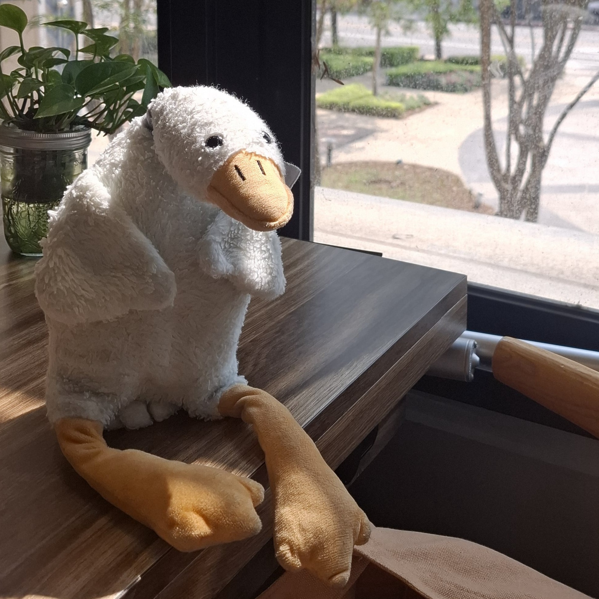 goose 吃午餐
