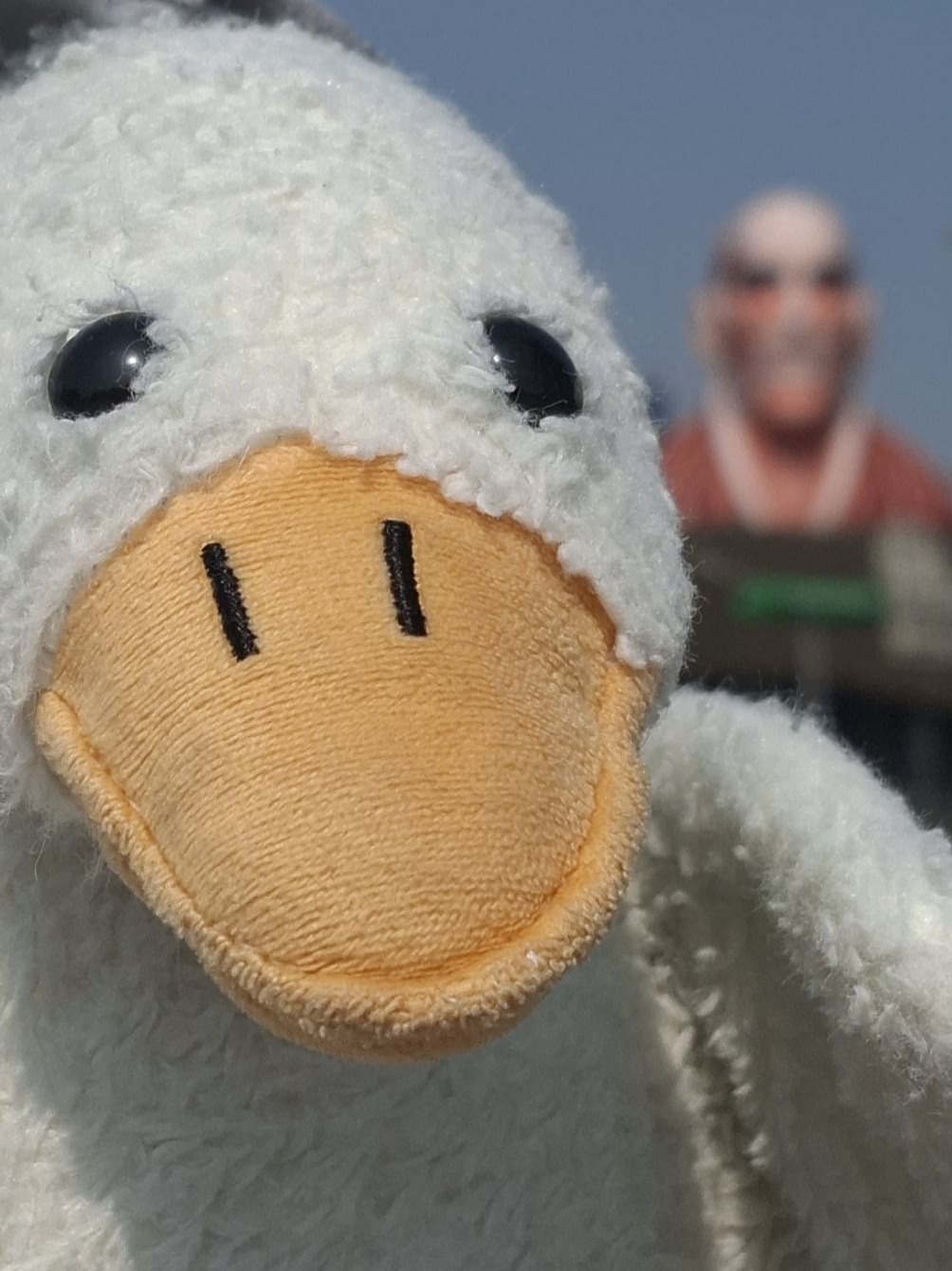 goose for  giant 1