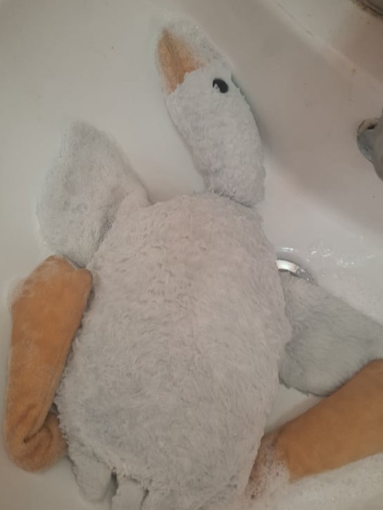 goose bath 1