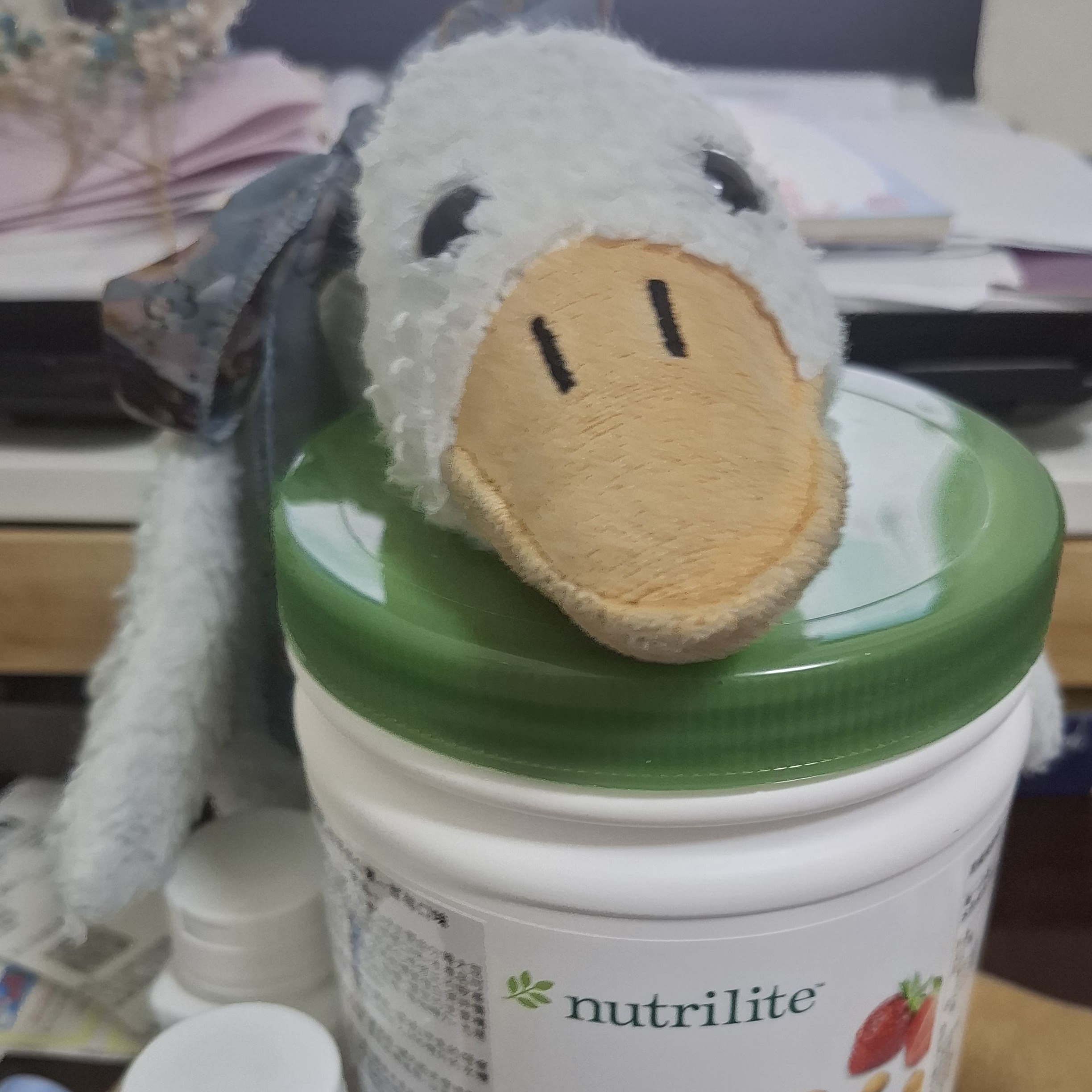 goose 身體健康