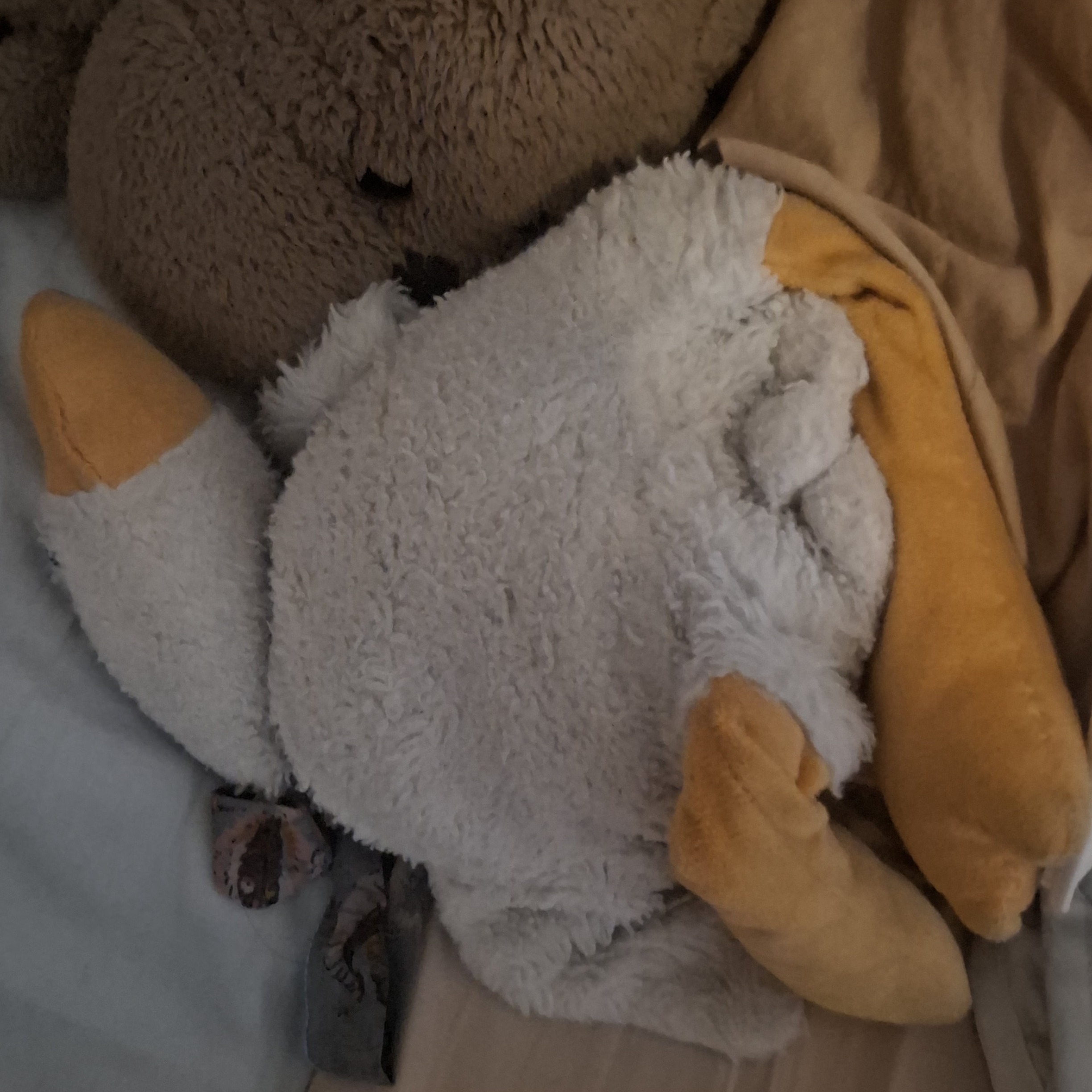 goose ZZZ