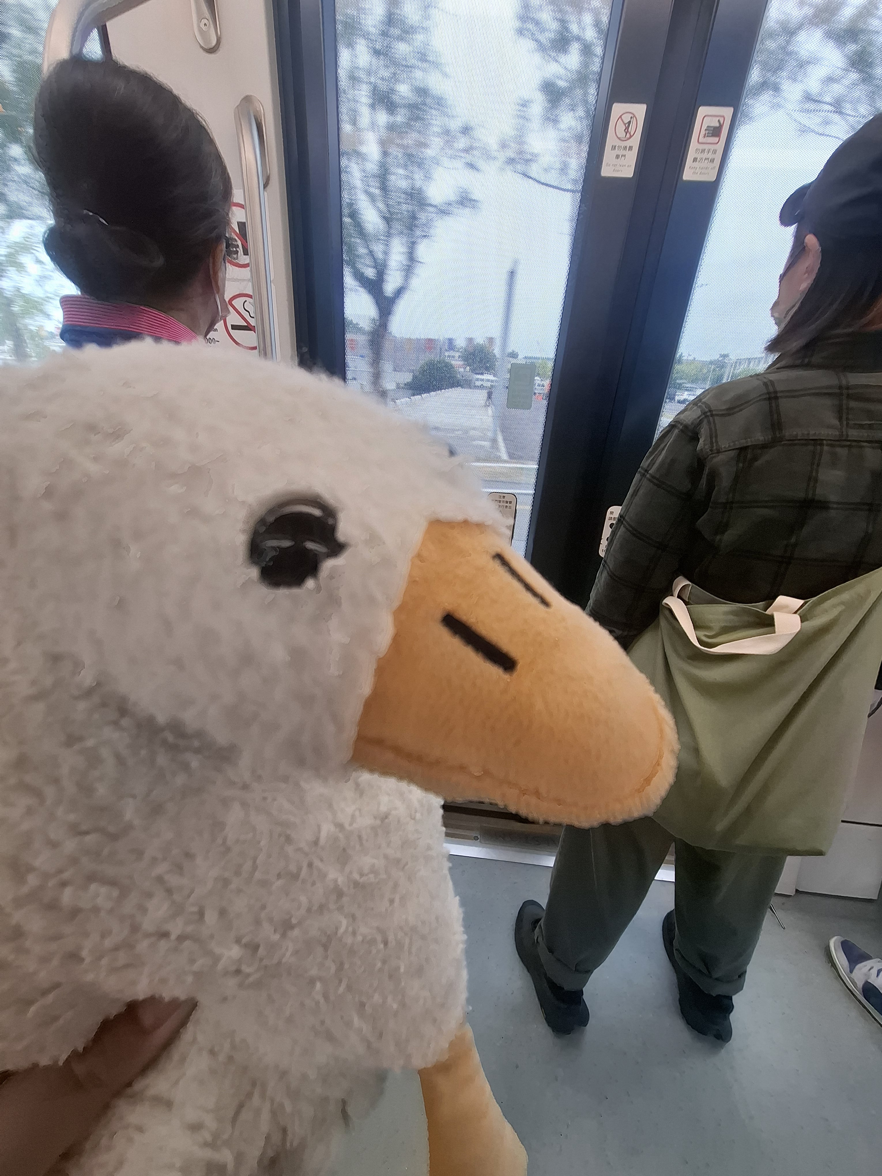 goose 自拍