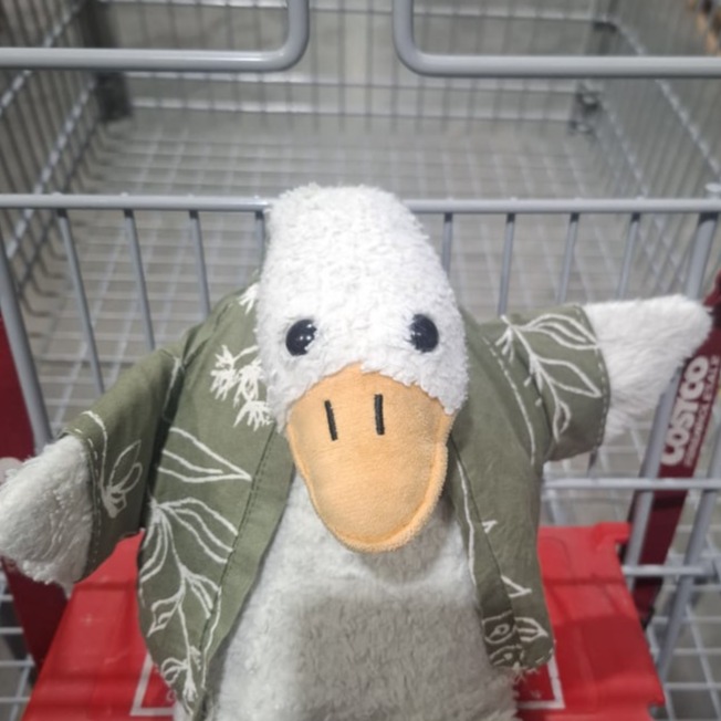 goose 採買