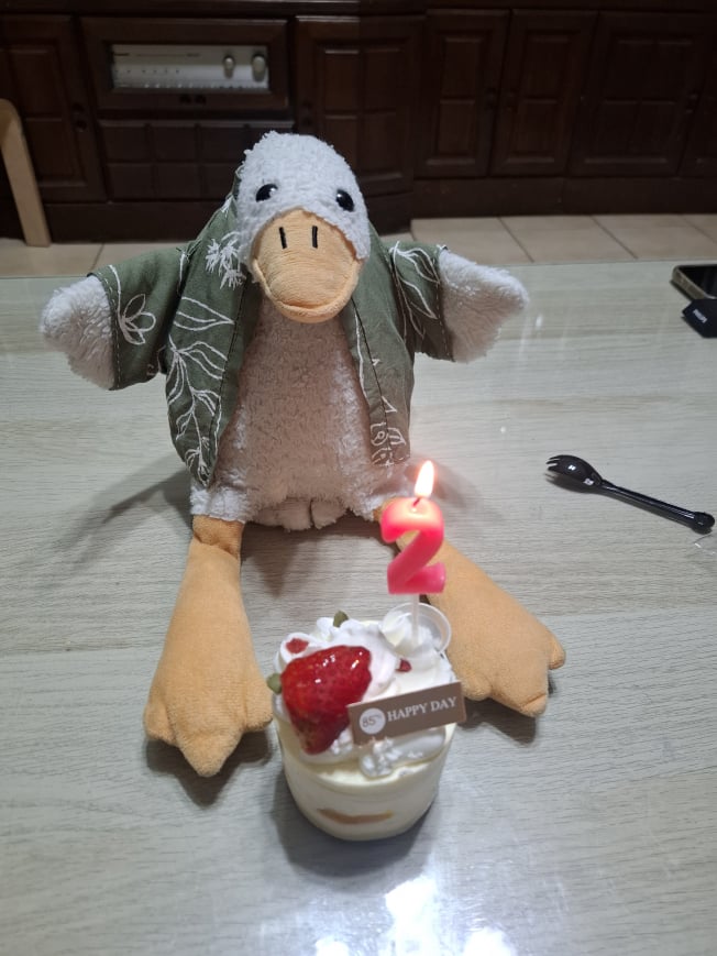 goose 生日
