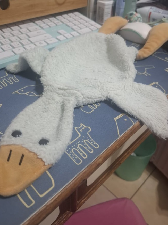 goose 洗澡