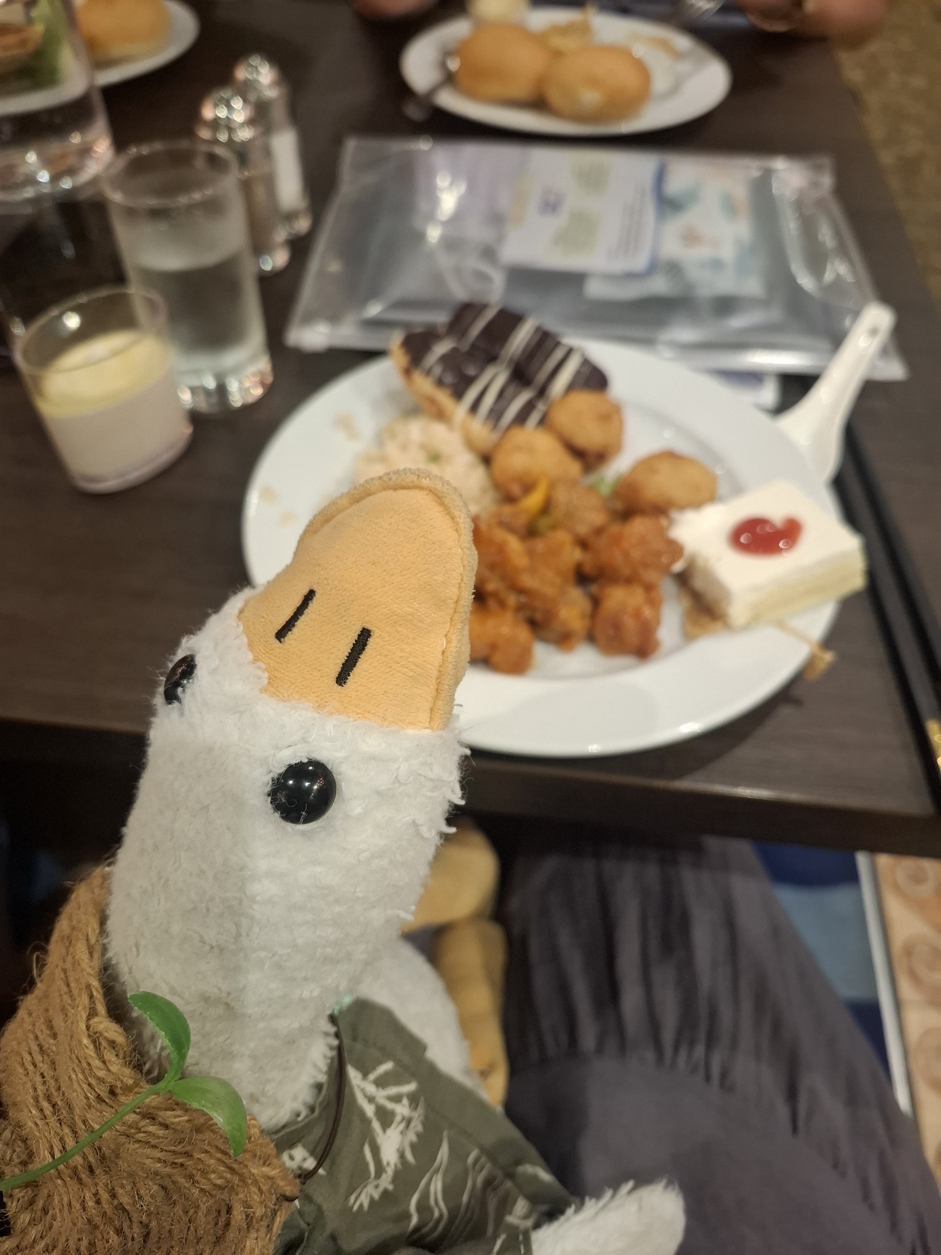 goose 第一餐
