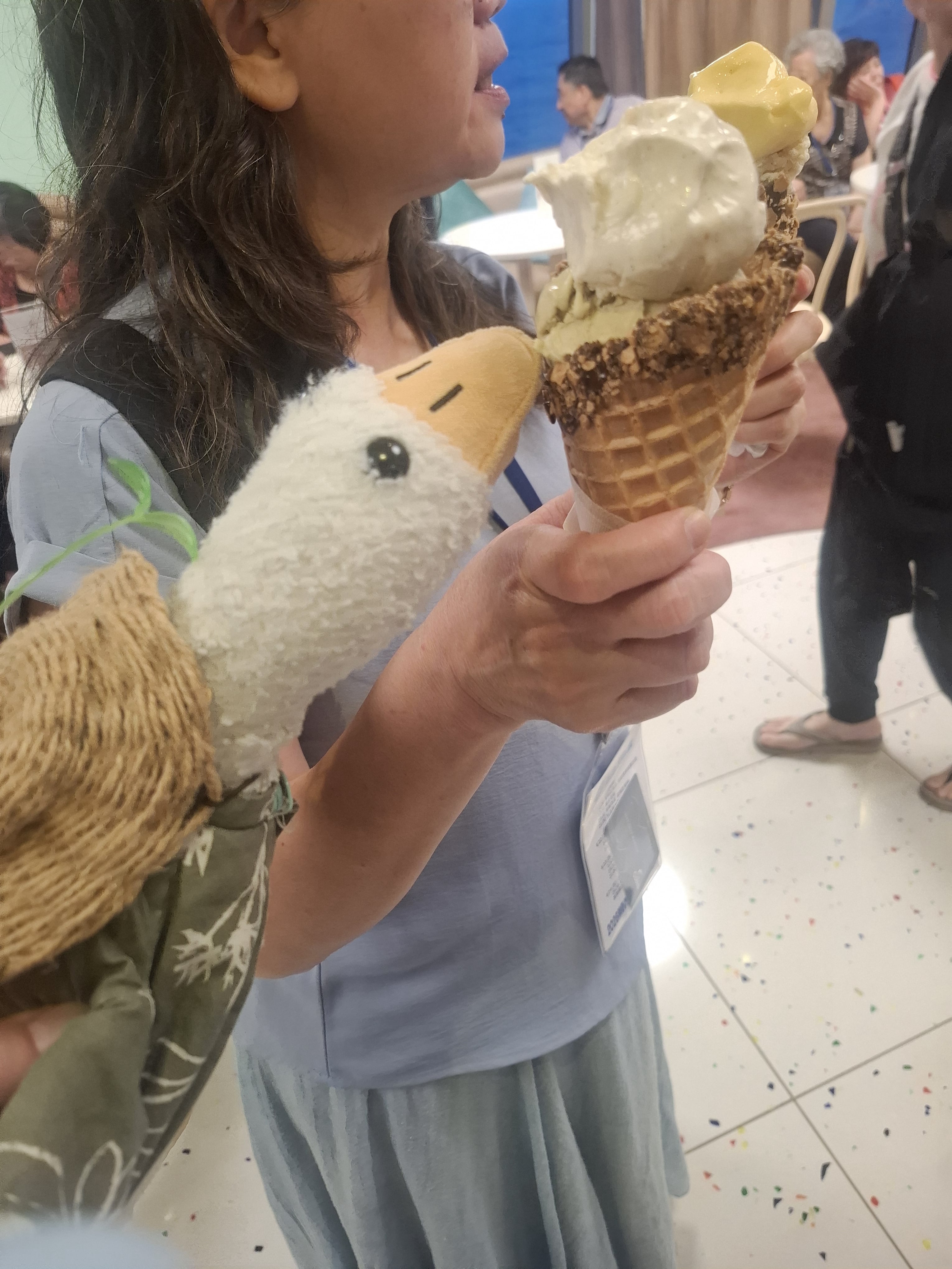 goose 偷吃冰淇淋