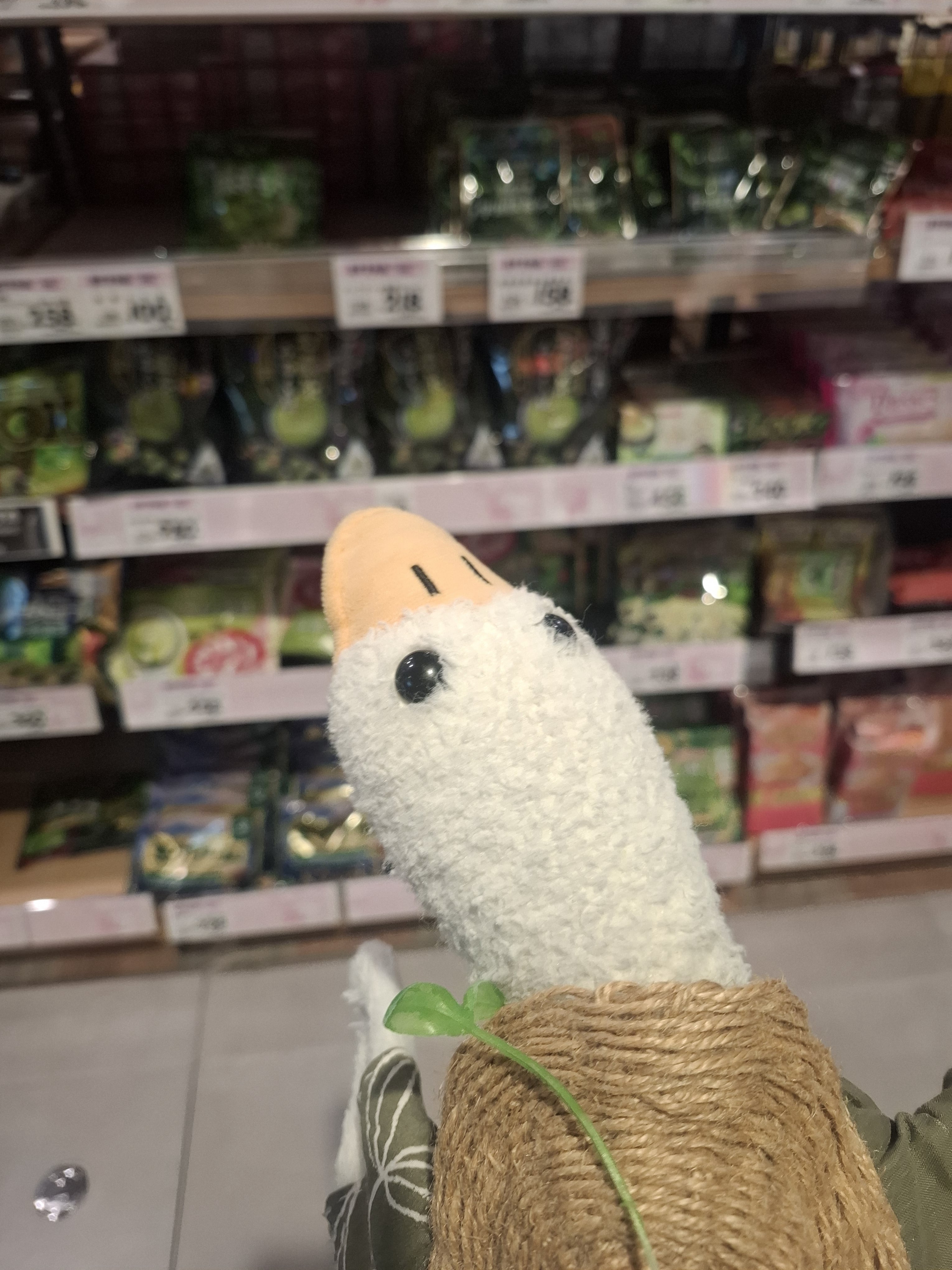 goose 買買買
