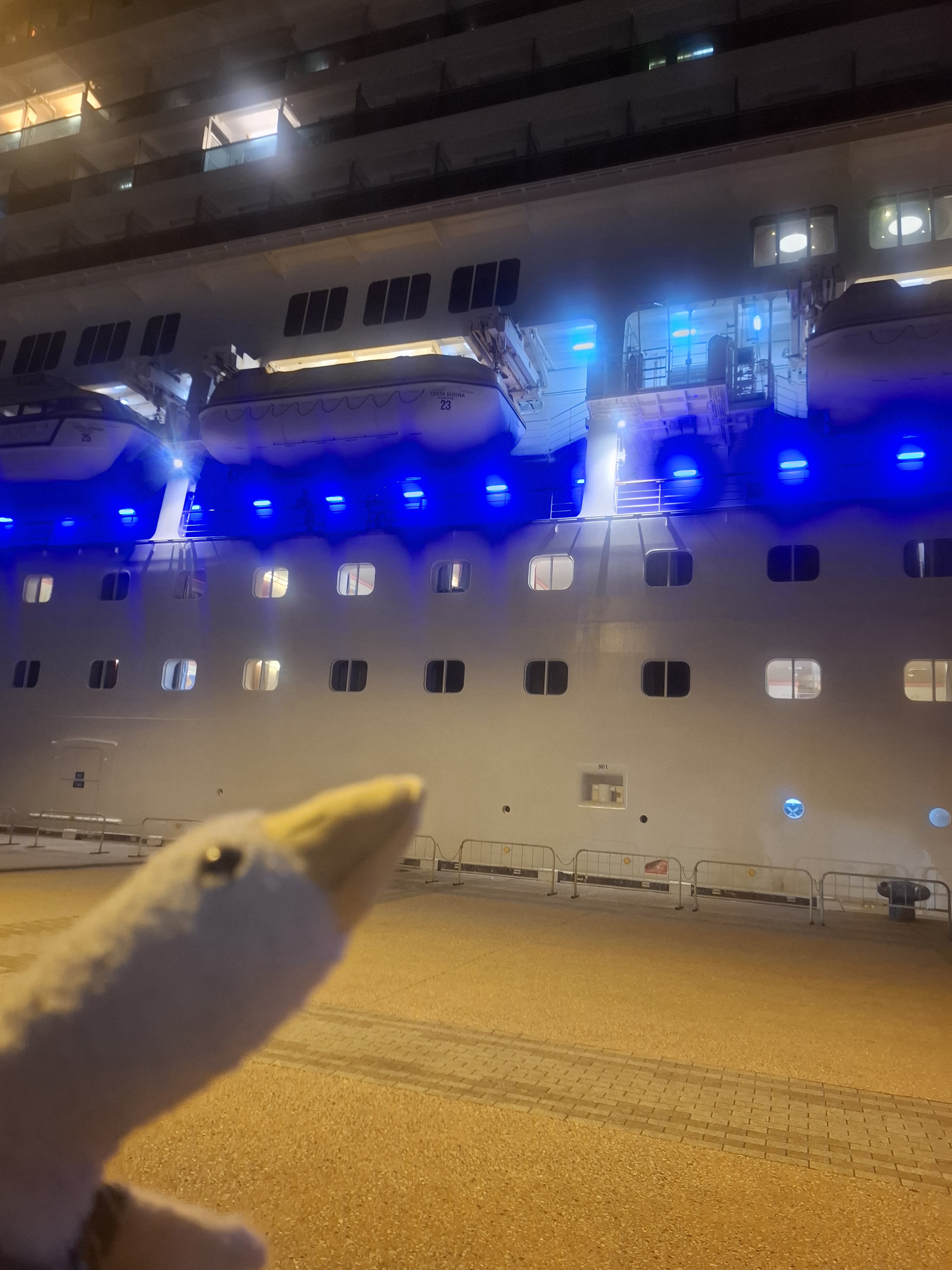 goose 晚上遊輪