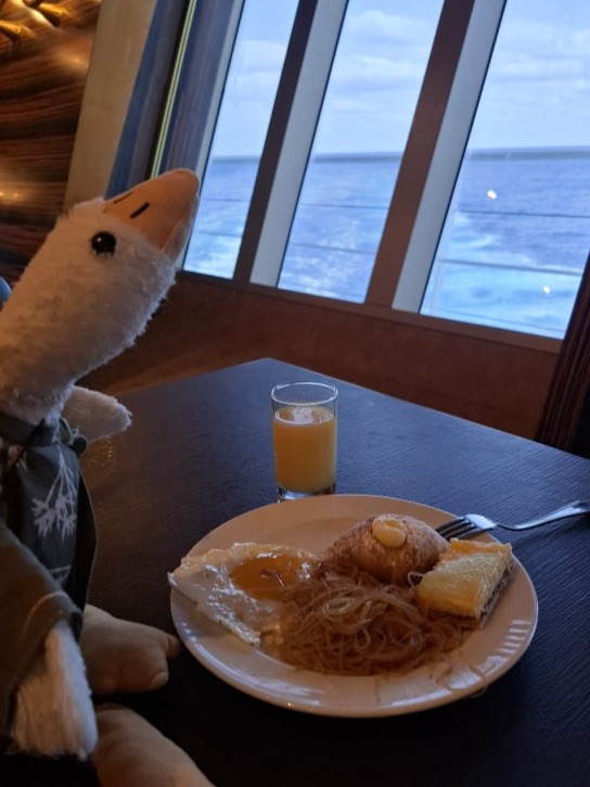 goose travel 4